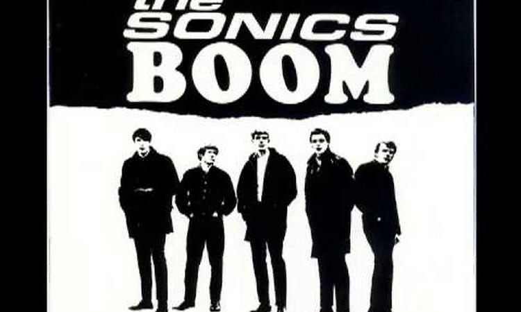 The Sonics - Shot Down