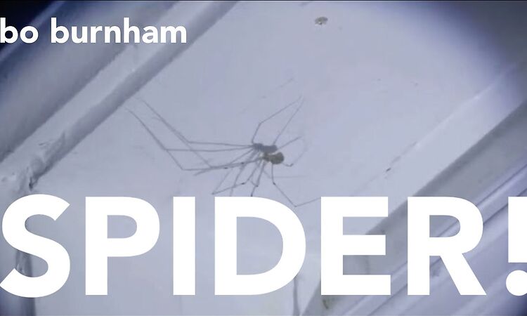 Bo Burnham - SPIDER! (Hiding In The Corner)