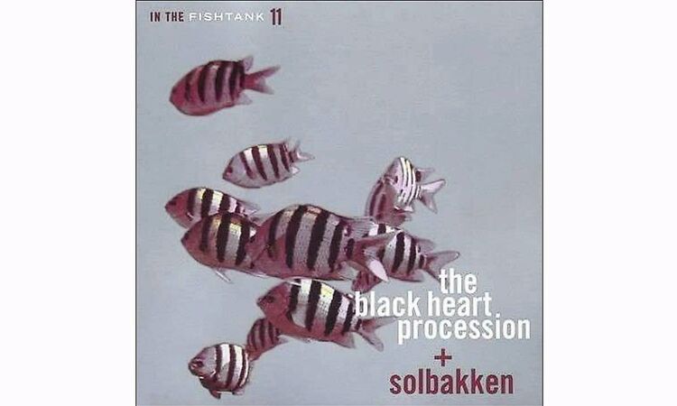 The Black Heart Procession + Solbakken - Your Cave - In The Fishtank 11