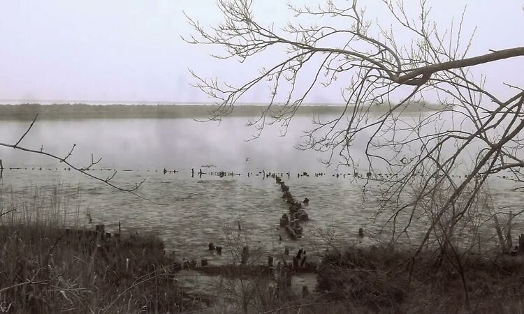 Craig Armstrong "Black Eye Dog" The Endless Coloured Ways: The song of Nick Drake