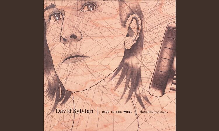 David Sylvian - Died In The Wool