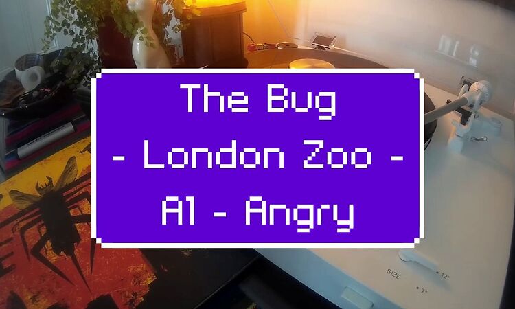 The Bug - London Zoo - A1 - Angry Feat. Tippa Irie