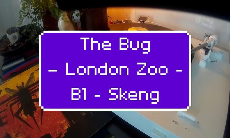 The Bug – London Zoo - B1 - Skeng Feat. Killa P