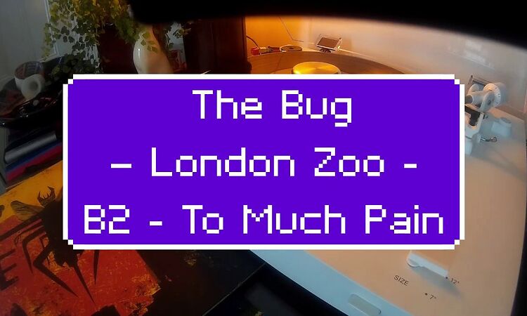 The Bug ‎– London Zoo - B2 - To Much Pain Feat. Ricky Ranking