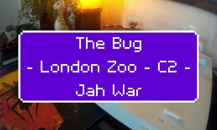 The Bug - London Zoo - C2 - Jah War feat. Flow Dan