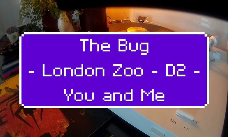 The Bug ‎– London Zoo - D2 - You and Me feat. Rodger Robinson