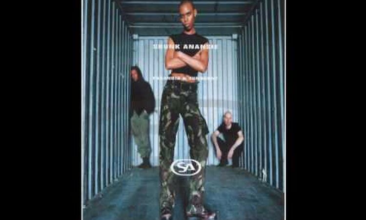 Skunk Anansie - Intellectualise my blackness