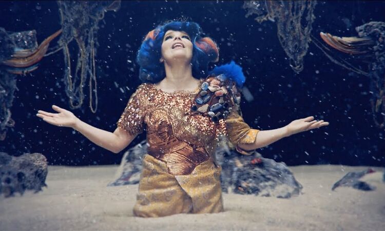 björk : mutual core