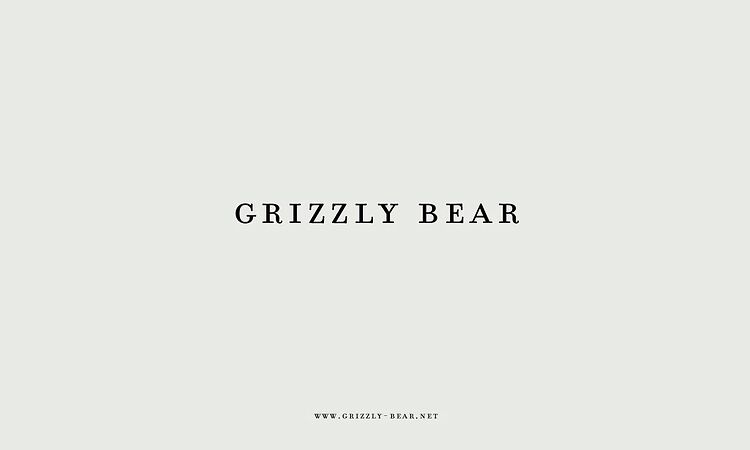 Grizzly Bear - Sleeping Ute