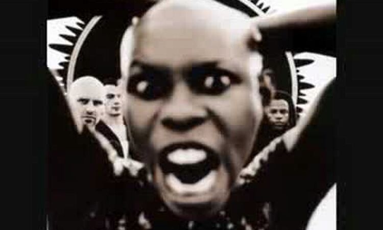 Skunk Anansie - Black Skinhead Coconut Dogfight