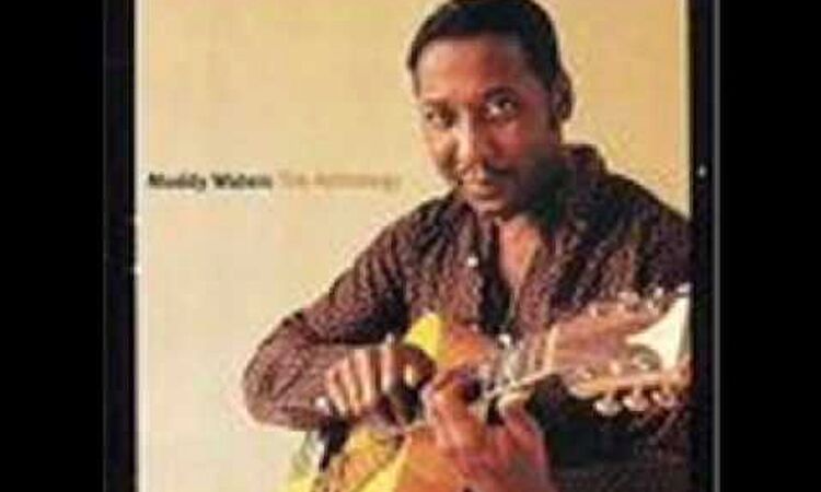 Muddy Waters - Honey Bee