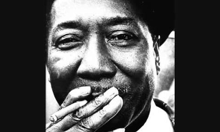 I'm Your Hoochie Coochie Man - Muddy Waters