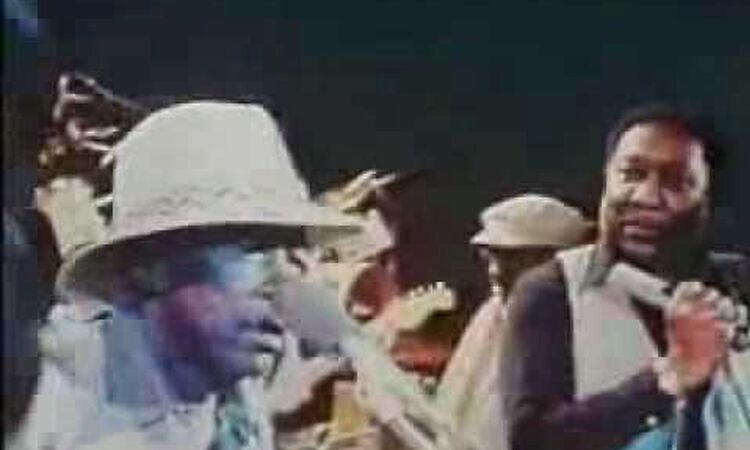 Muddy Waters, John Lee Hooker, Johnny Winter - I Just Wanna Make Love To You