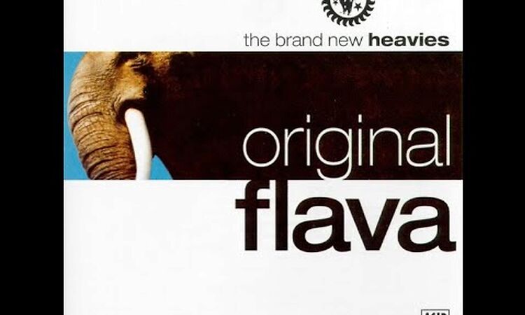 The Brand New Heavies - Dream Come True (Original Flava Mix)