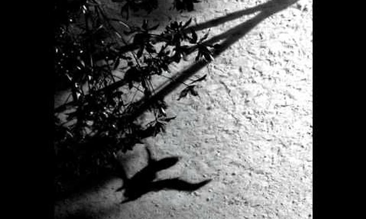 Max Richter - On the Nature of Daylight