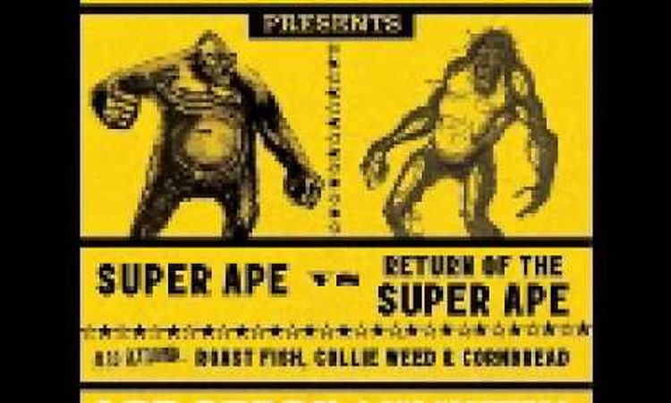 Lee Perry and The Upsetters Return Of The Super Ape 11 From Creation