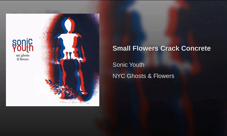 NYC Ghosts & Flowers, Sonic Youth – LP – Music Mania Records – Ghent