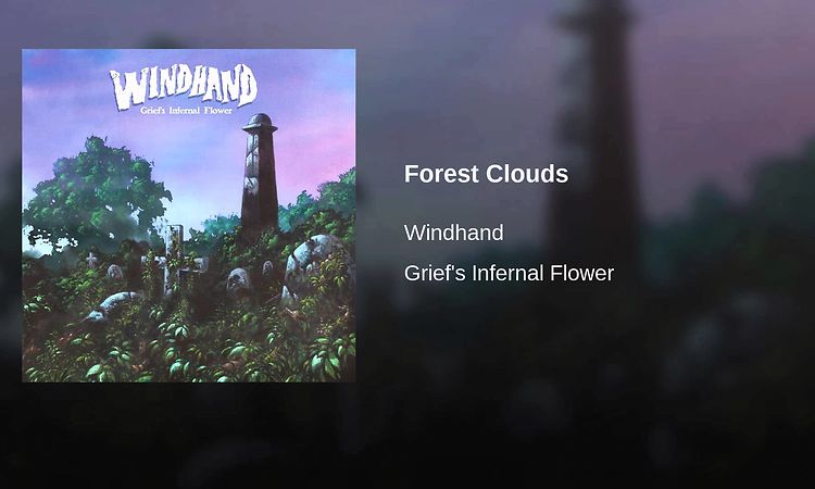 Forest Clouds