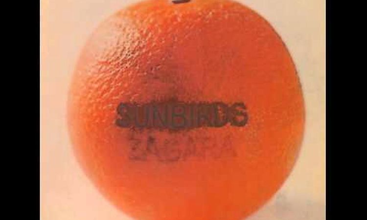 Sunbirds - African sun -1973