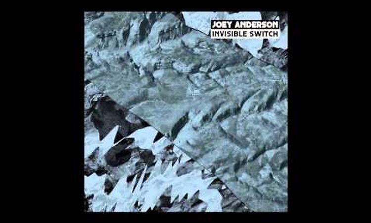 Joey Anderson - Organ To Dust