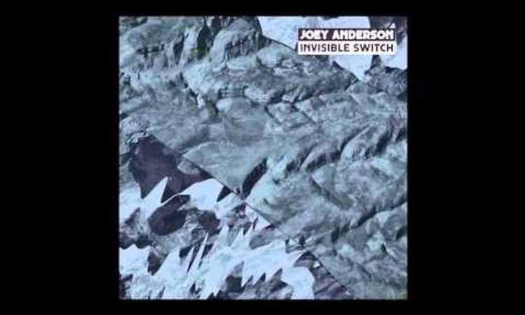 Joey Anderson - Amarna [Dekmantel Records]