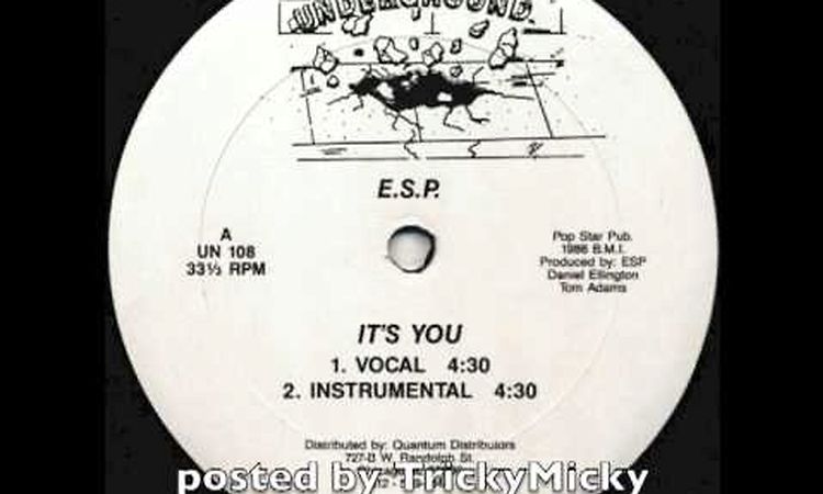 [1986] E.S.P. ‎- It's You (Vocal)