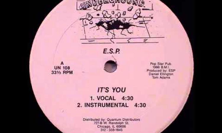 E.S.P. - It's You (Vocal)