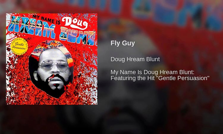 Fly Guy