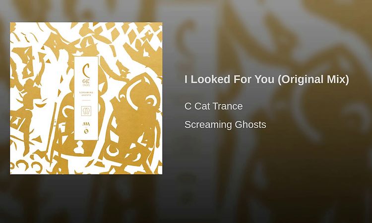 I Looked For You (Original Mix)