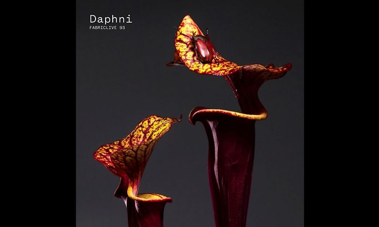 Daphni - Xing Tian (Audio)