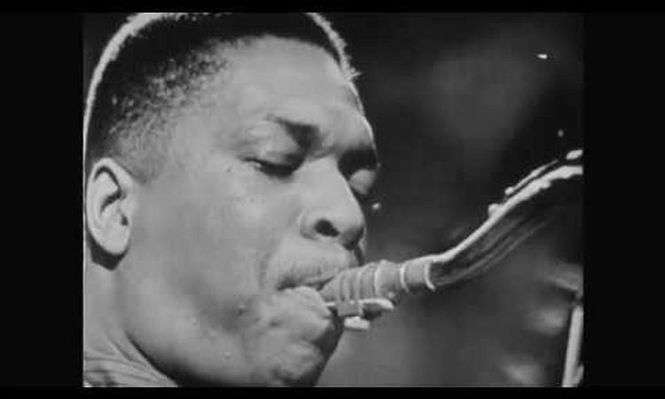 chasing trane trailer