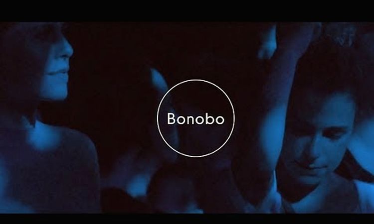 Bonobo : The North Borders Tour - Live.