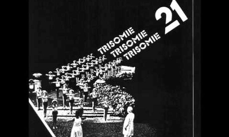 Trisomie 21 - Logical Animals