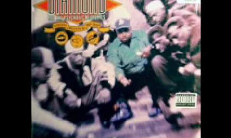 Diamond D - Stunts, Blunts, & Hip Hop