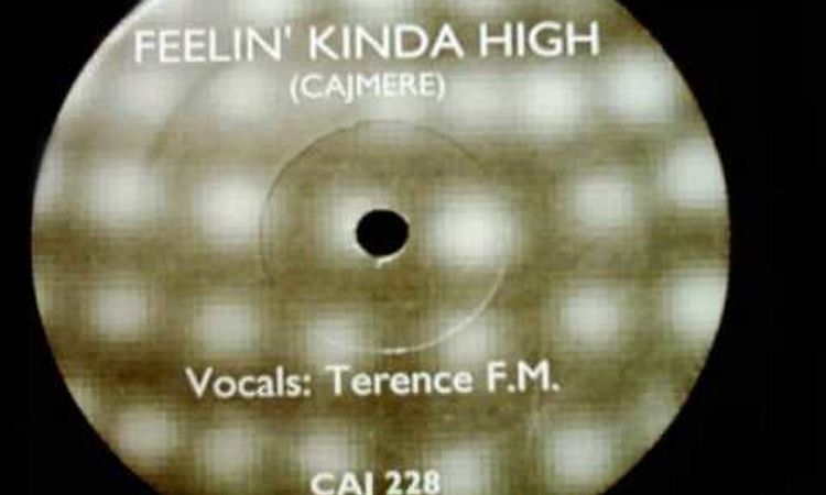 Cajmere feat. Terence FM - Feelin Kinda High (Mix 1)