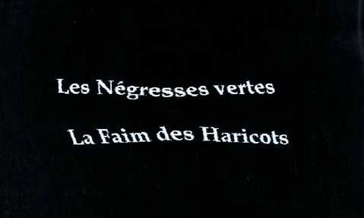 Les négresses vertes - La Faim des Haricots.wmv