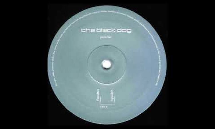 The Black Dog - Rainbow Bridge