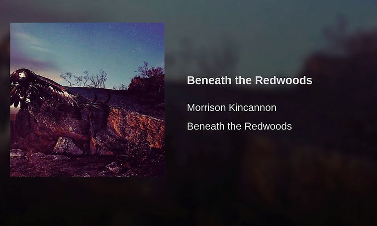 Beneath the Redwoods