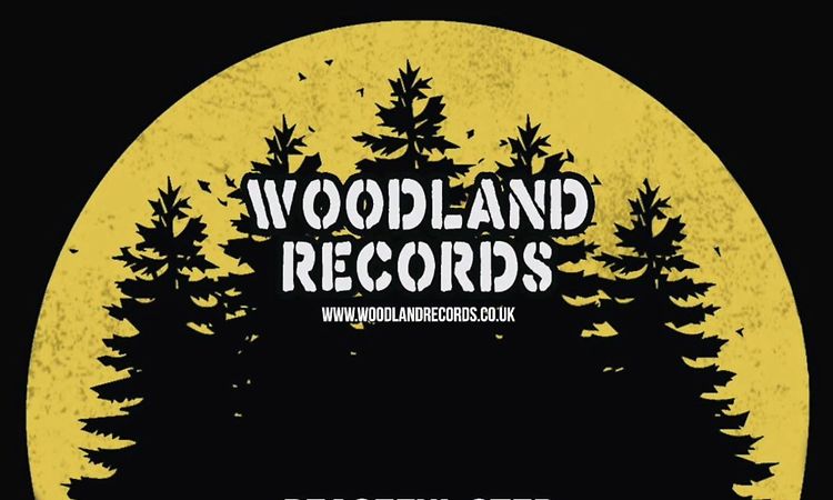 WOODLAND RECORDS 7 - Peaceful Step + Peaceful Dub-  Forward Fever