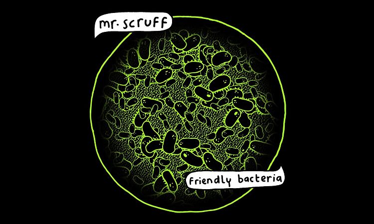 Mr Scruff - Come Find Me (feat. Vanessa Freeman)