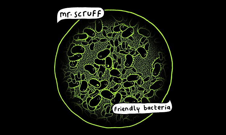 Mr Scruff - Feel Free