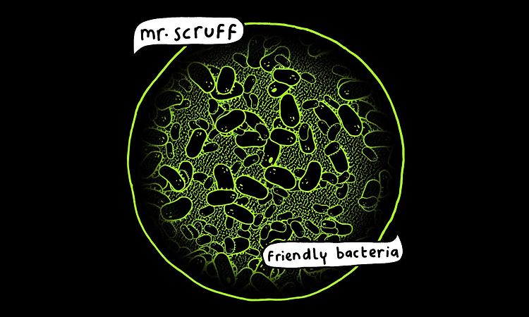 Mr Scruff - Where Am I