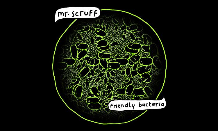 Mr Scruff - We Are Coming