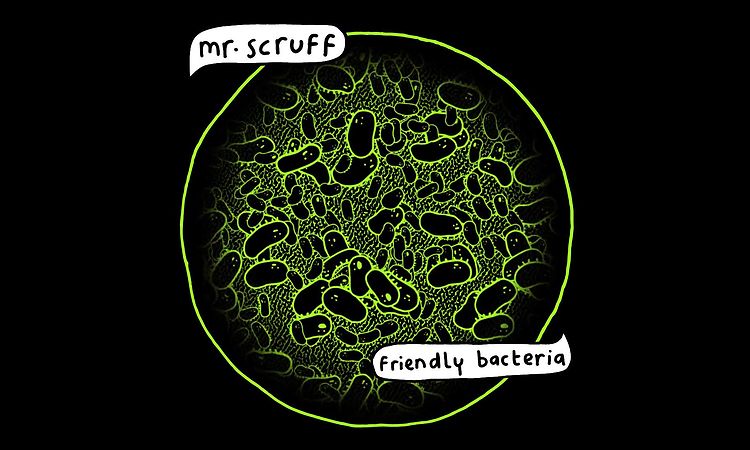 Mr Scruff - Catch Sound (feat. Denis Jones)