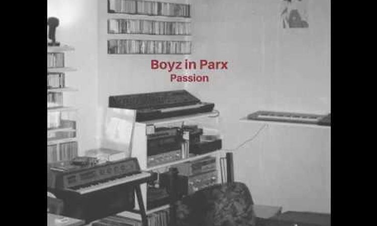 BOYZ IN PARX break the ice (LP passion, Top Tape 2017)