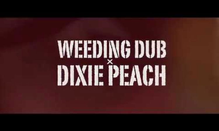 Weeding Dub - Make Dem Know feat. Dixie Peach