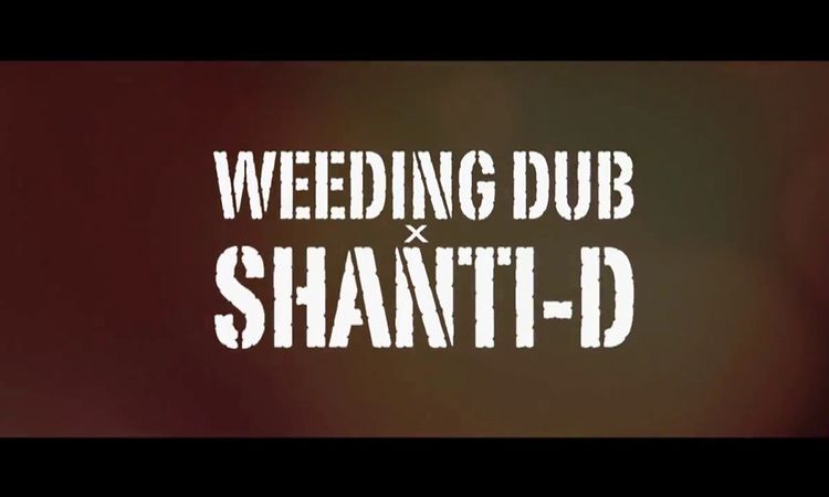 Weeding Dub - Can't Understand feat. Shanti D