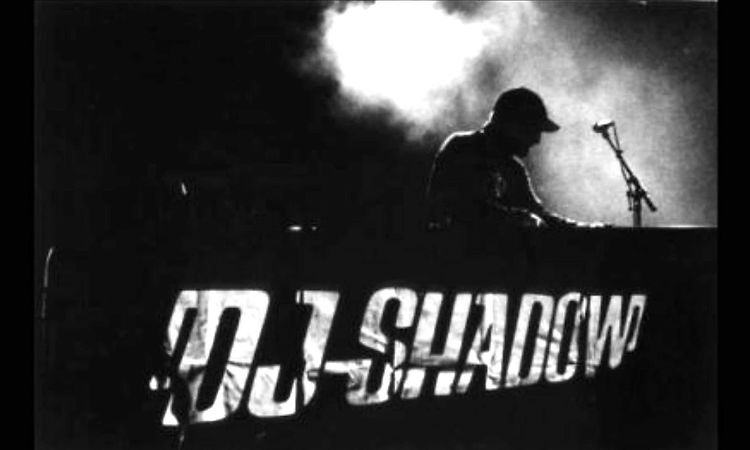 Won't You Be - Dj Shadow