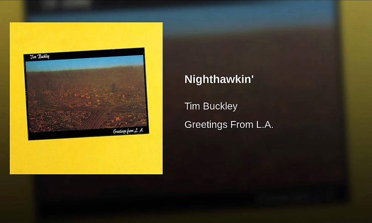 Nighthawkin'