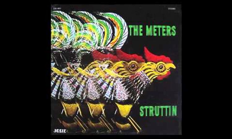 The Meters - Liver Splash (HQ)